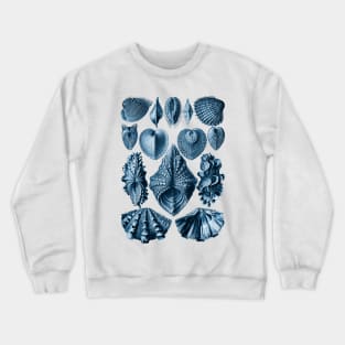 Ernst Haeckel Acephala Mollusc in Navy Crewneck Sweatshirt